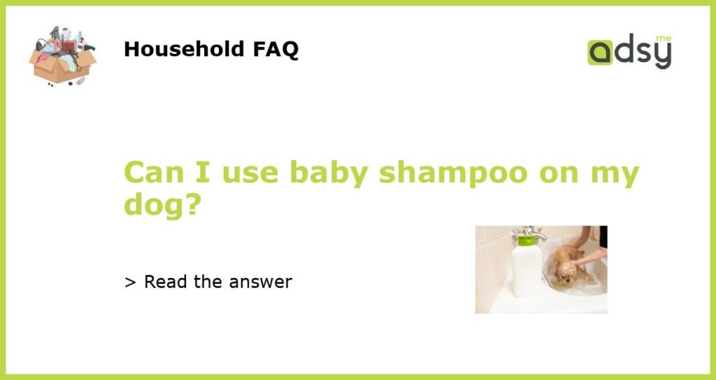 Can I use baby shampoo on my dog featured