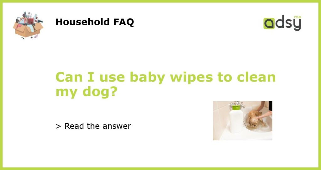 Can I use baby wipes to clean my dog featured