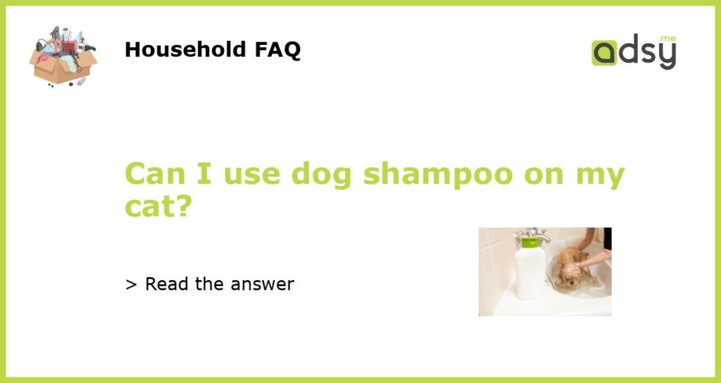 Can I use dog shampoo on my cat featured