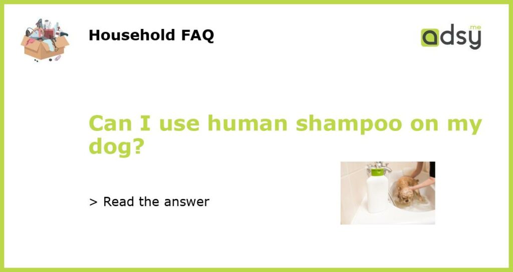 Can I use human shampoo on my dog featured