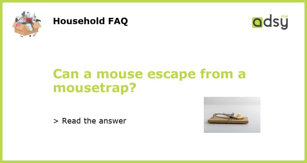 Can a mouse escape from a mousetrap featured