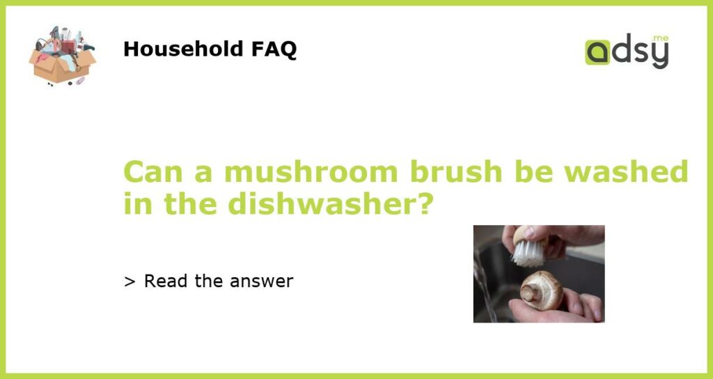 Can a mushroom brush be washed in the dishwasher featured