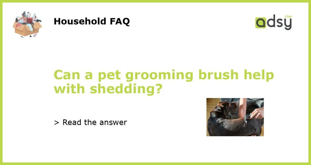 Can a pet grooming brush help with shedding?