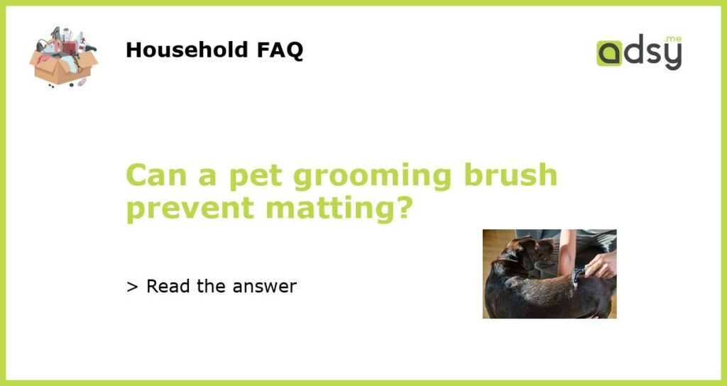 Can a pet grooming brush prevent matting featured