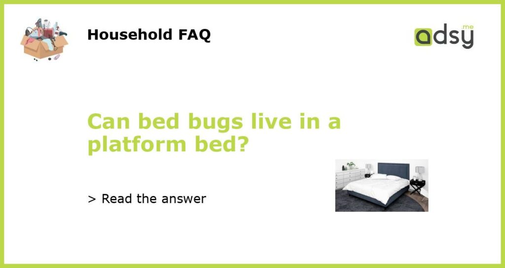 Can bed bugs live in a platform bed featured