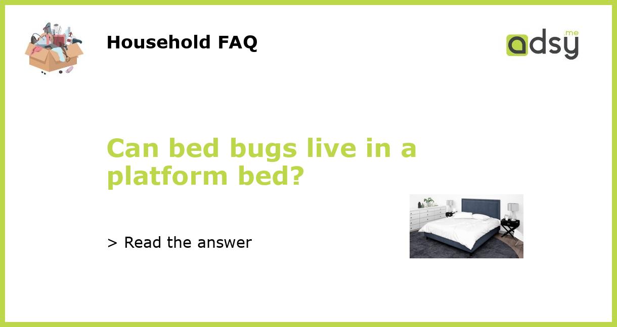 Can bed bugs live in a platform bed?