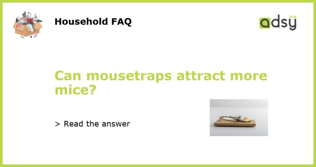 Can mousetraps attract more mice?