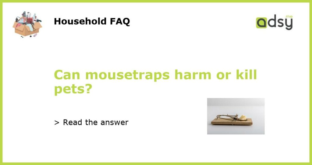 Can mousetraps harm or kill pets featured