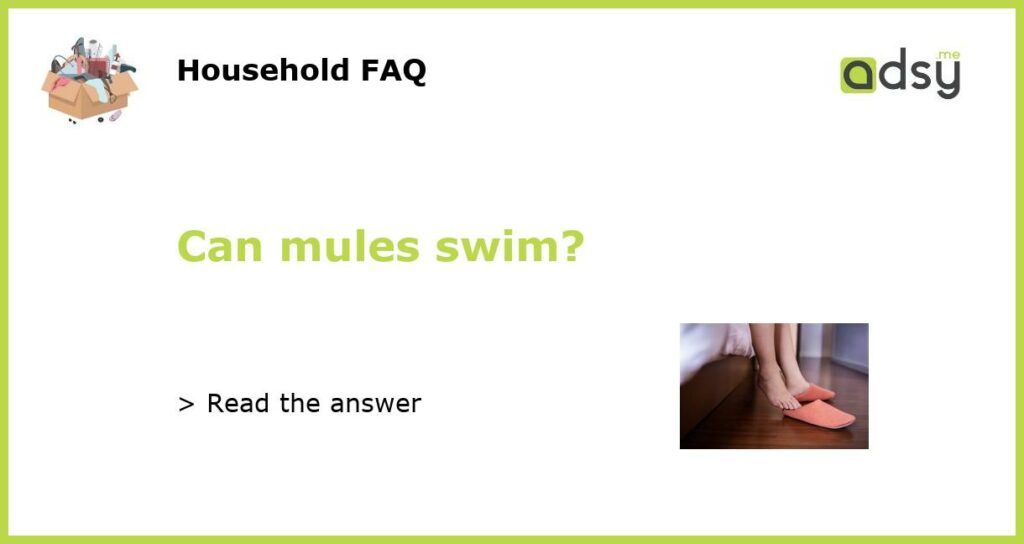 Can mules swim featured