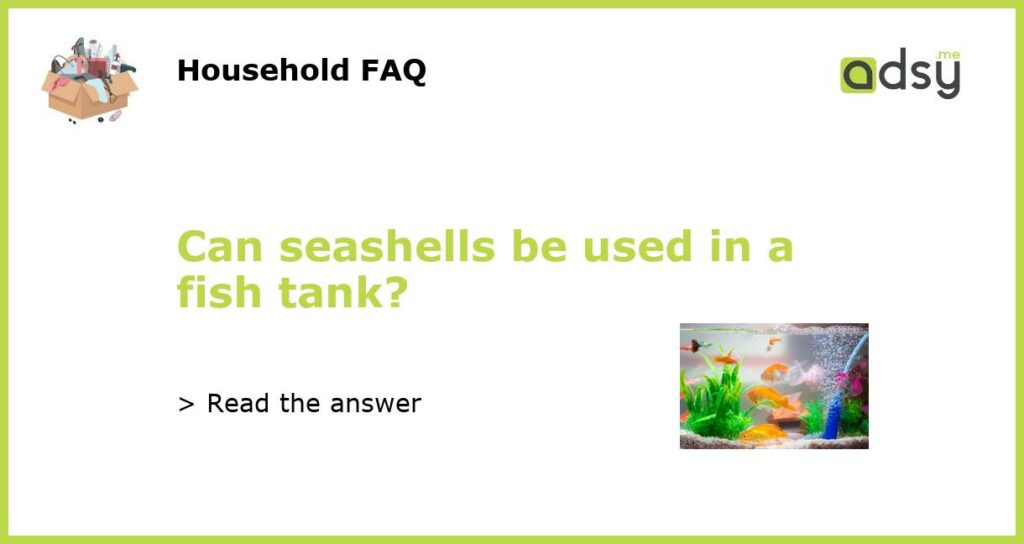 Can seashells be used in a fish tank featured