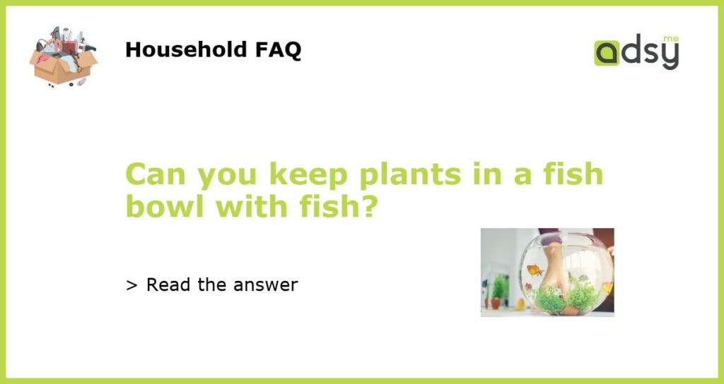 Can you keep plants in a fish bowl with fish featured