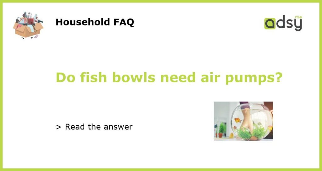 Do fish bowls need air pumps featured
