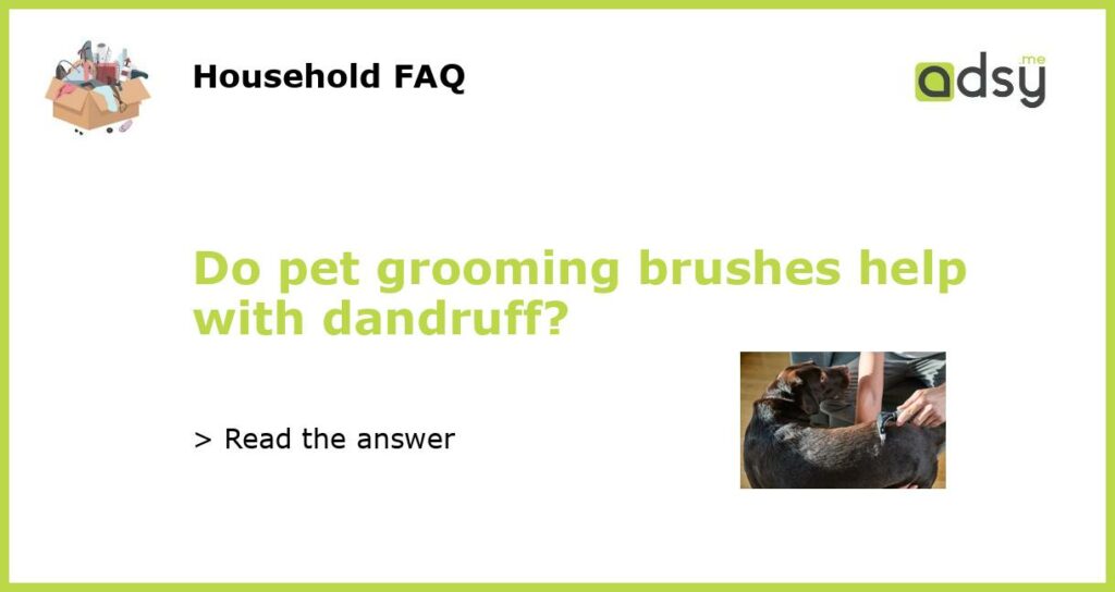 Do pet grooming brushes help with dandruff featured