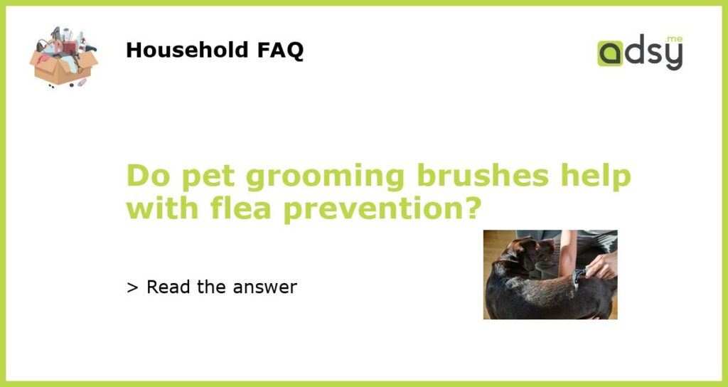 Do pet grooming brushes help with flea prevention featured