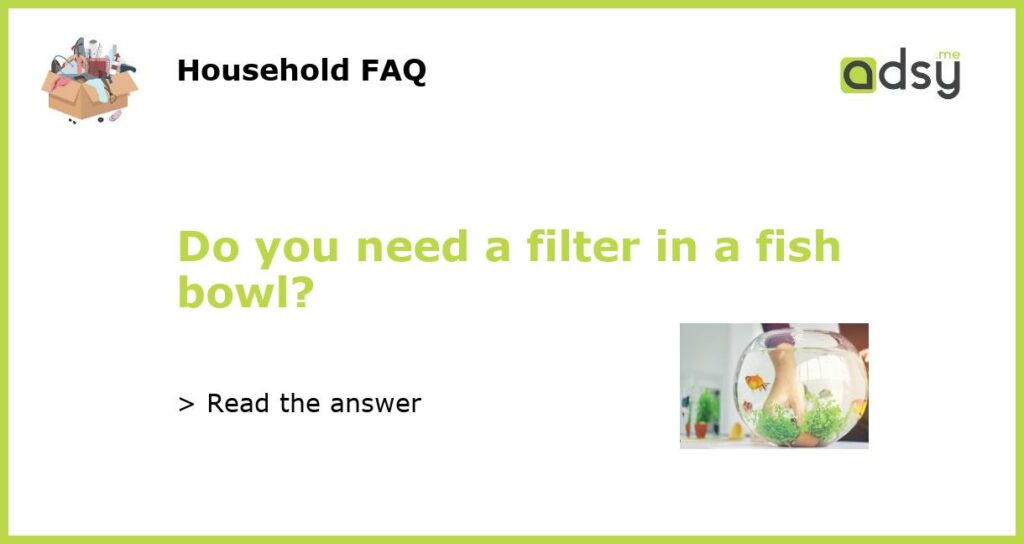 Do you need a filter in a fish bowl featured
