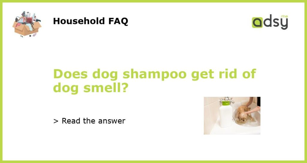 Does dog shampoo get rid of dog smell featured