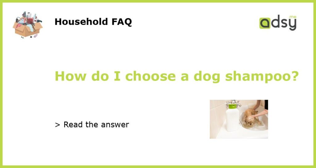 How do I choose a dog shampoo?