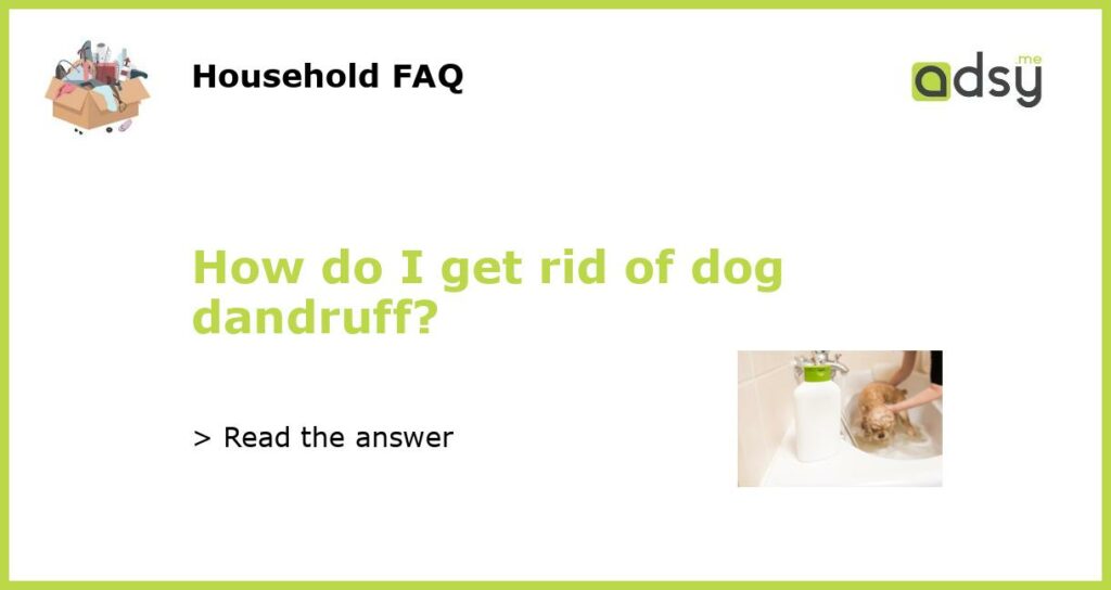 How do I get rid of dog dandruff featured