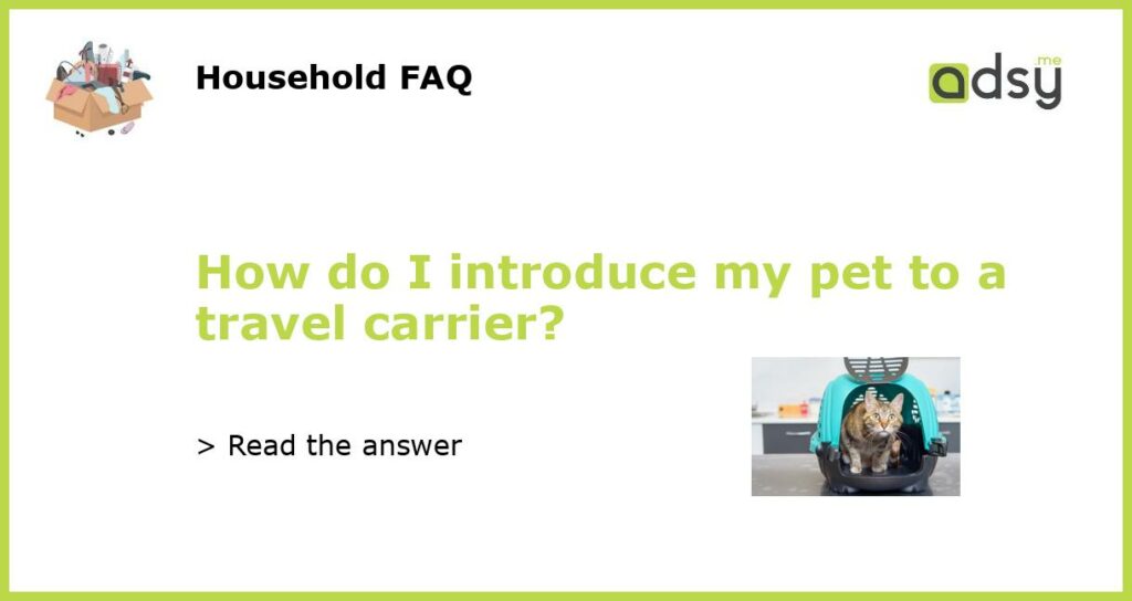 How do I introduce my pet to a travel carrier featured