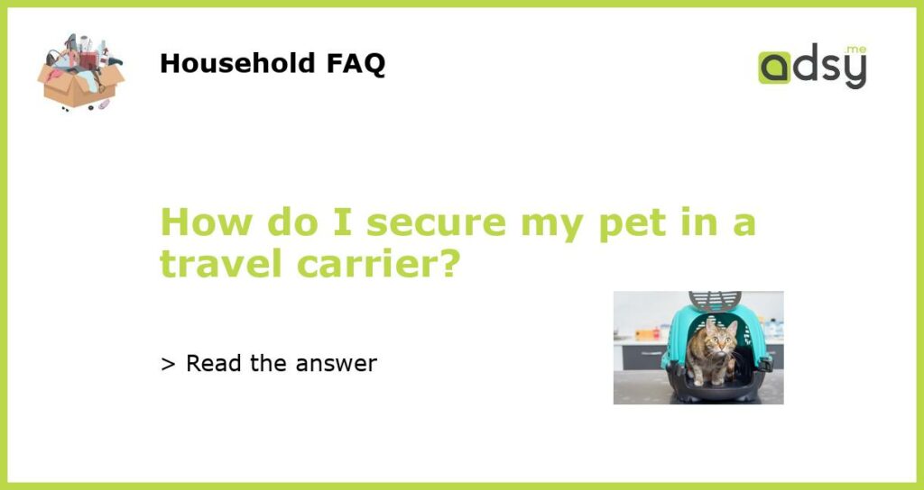 How do I secure my pet in a travel carrier featured