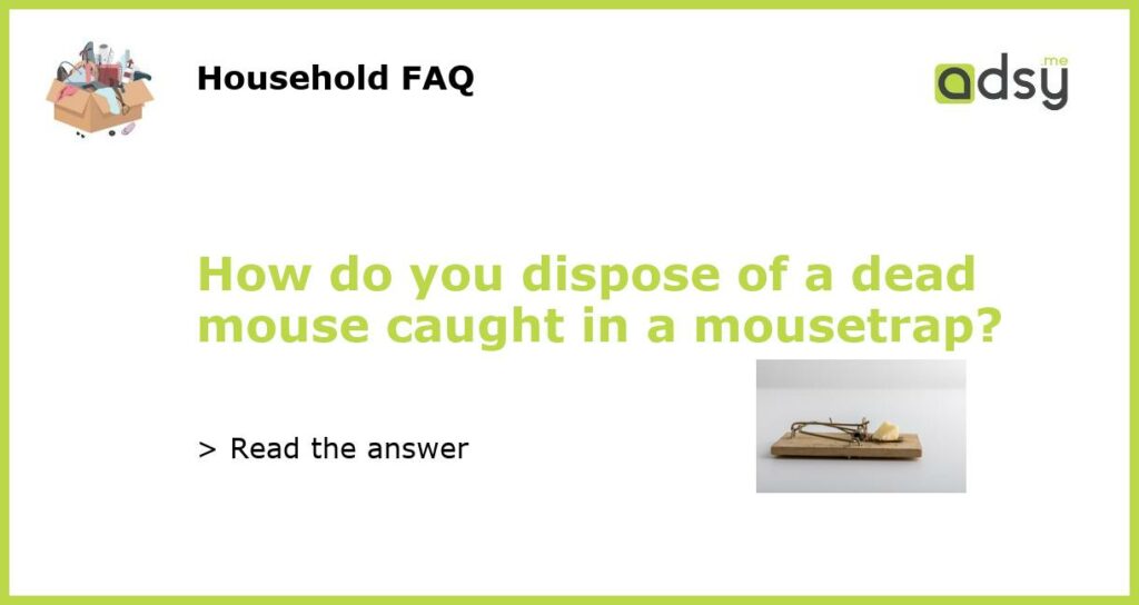 How do you dispose of a dead mouse caught in a mousetrap featured
