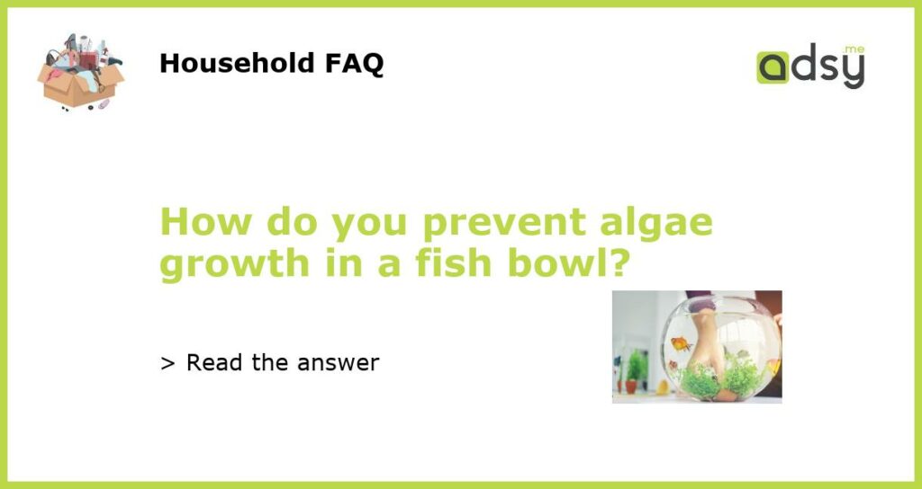 How do you prevent algae growth in a fish bowl?