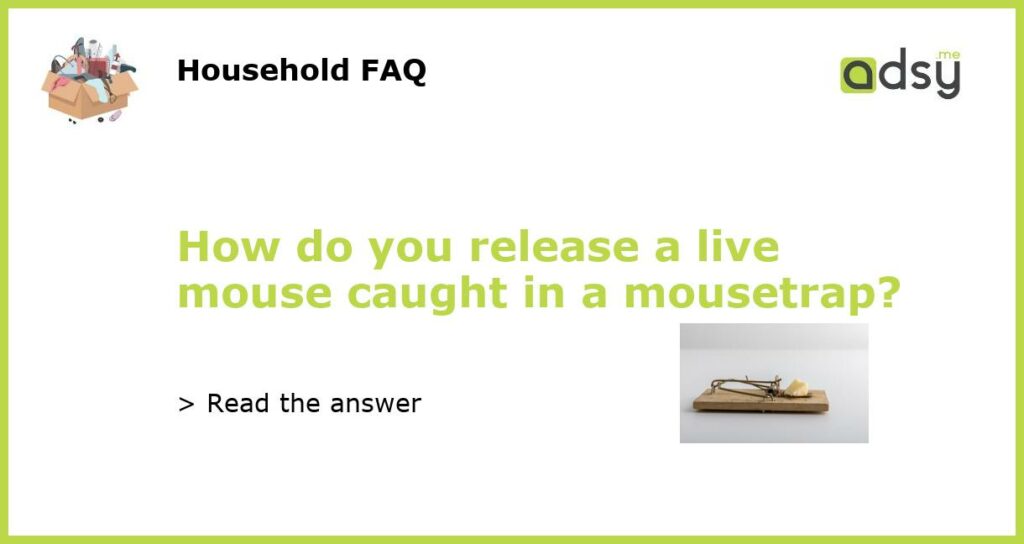 How do you release a live mouse caught in a mousetrap featured