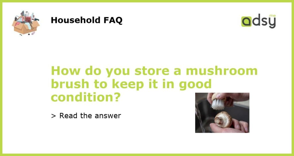 How do you store a mushroom brush to keep it in good condition?