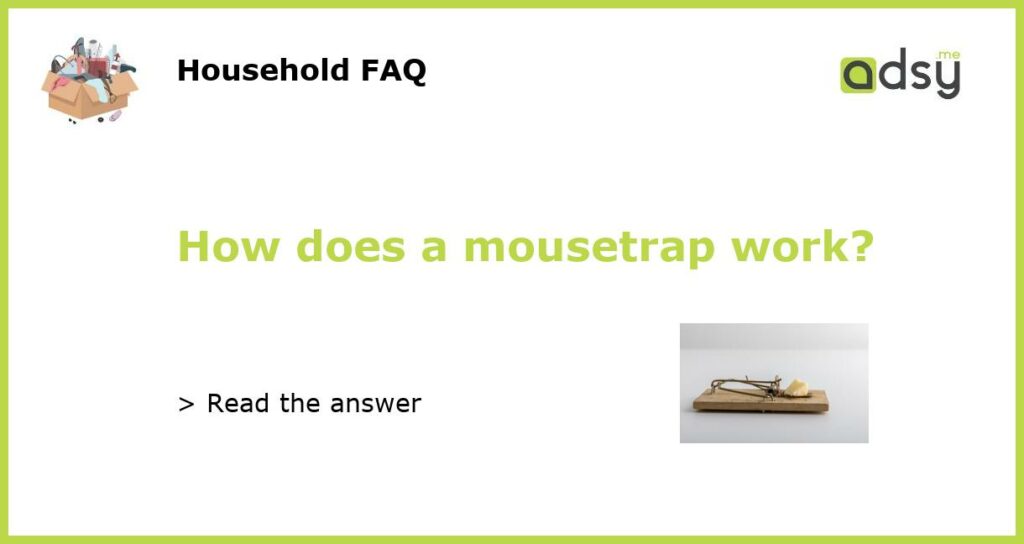 How does a mousetrap work featured