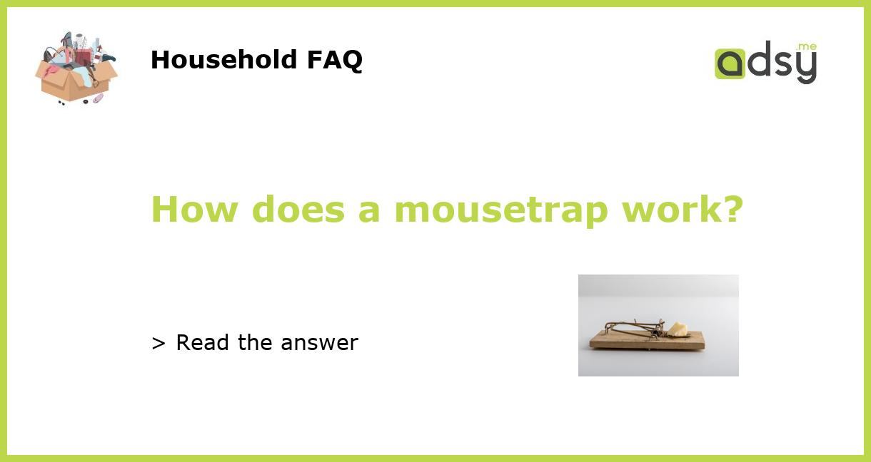 How does a mousetrap work?