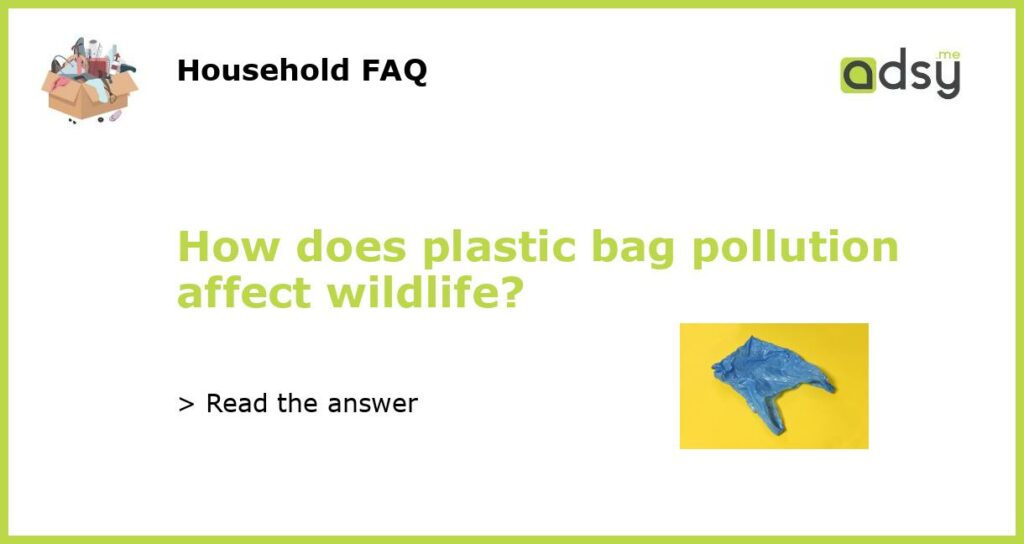 How does plastic bag pollution affect wildlife featured