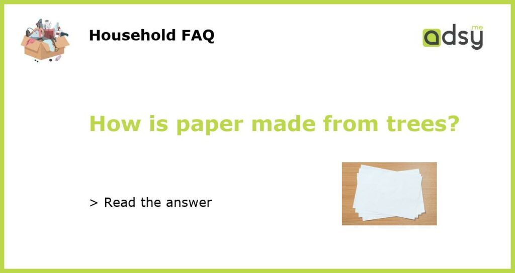 How is paper made from trees featured