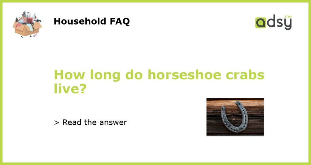 How long do horseshoe crabs live?