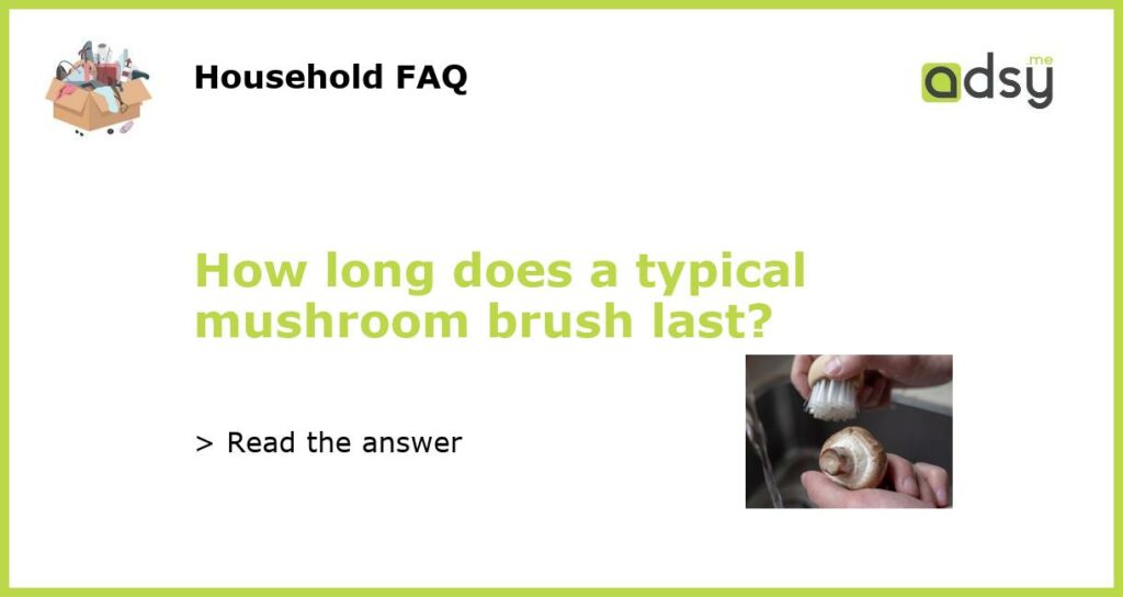 How long does a typical mushroom brush last featured