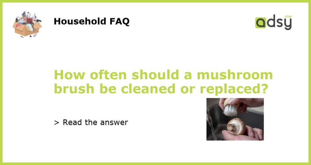How often should a mushroom brush be cleaned or replaced featured