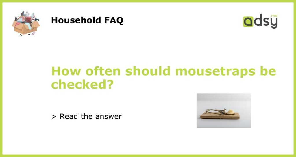 How often should mousetraps be checked featured