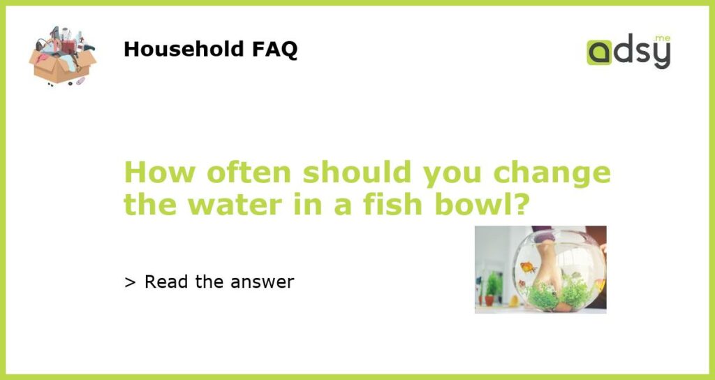 How often should you change the water in a fish bowl featured