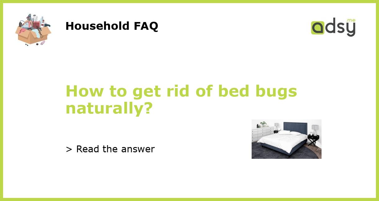 How to get rid of bed bugs naturally?