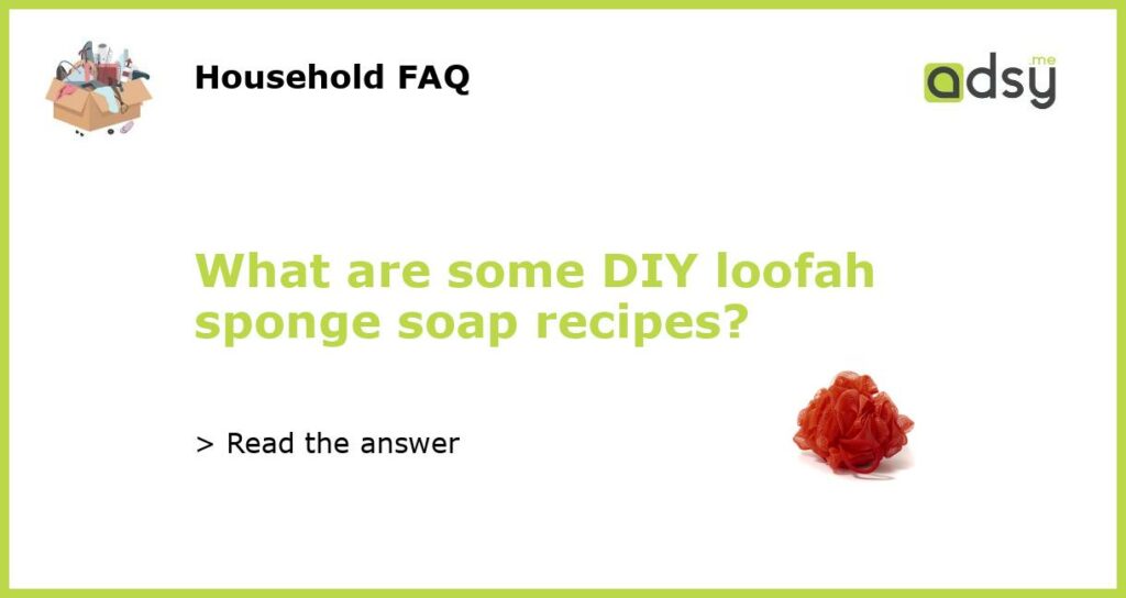 What are some DIY loofah sponge soap recipes?
