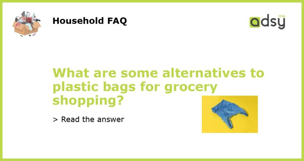 What are some alternatives to plastic bags for grocery shopping?
