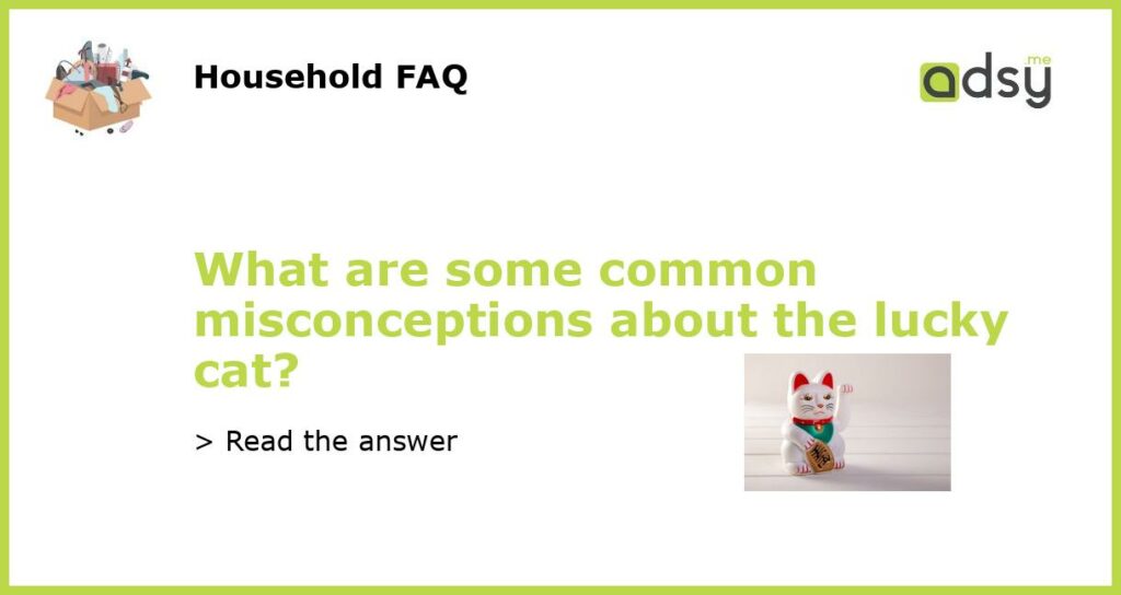 What are some common misconceptions about the lucky cat featured