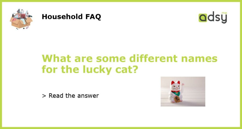 What are some different names for the lucky cat featured
