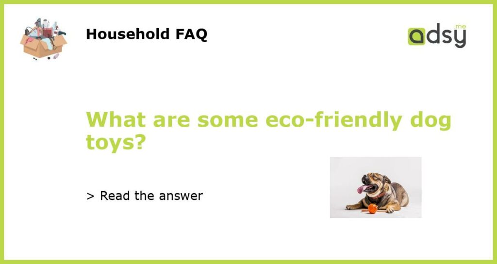 What are some eco friendly dog toys featured