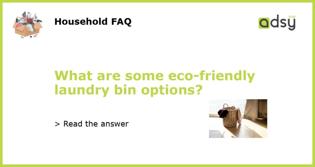 What are some eco friendly laundry bin options featured