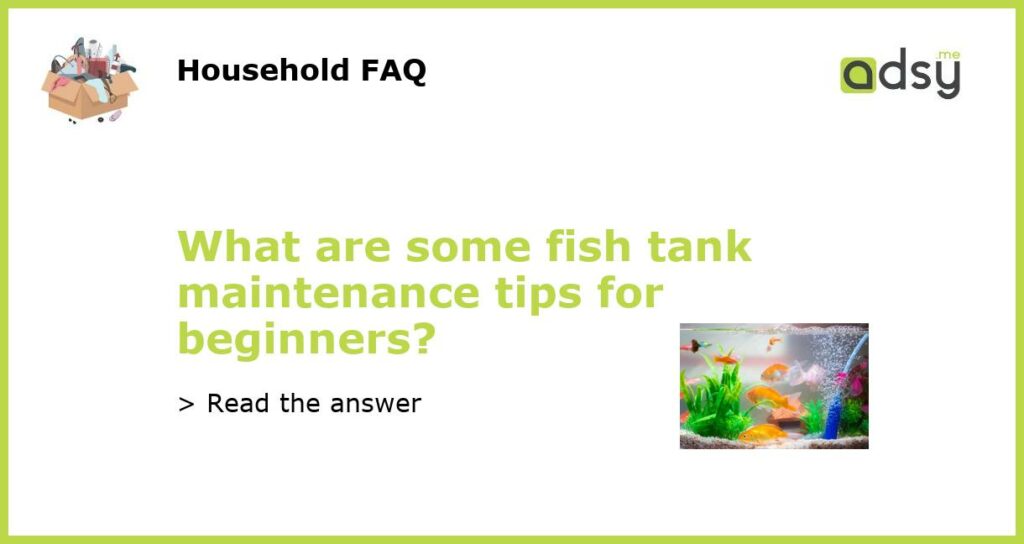 What are some fish tank maintenance tips for beginners featured