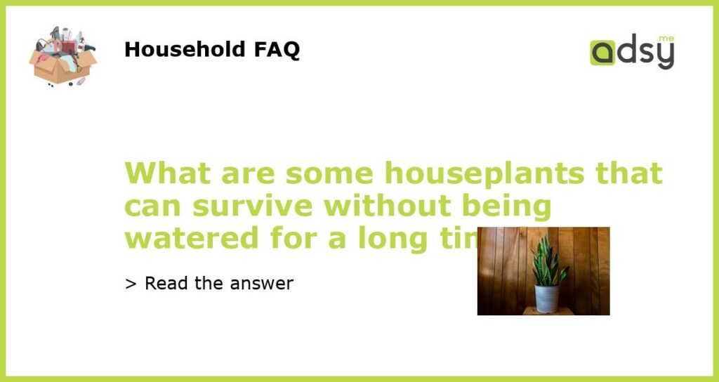What are some houseplants that can survive without being watered for a long time featured