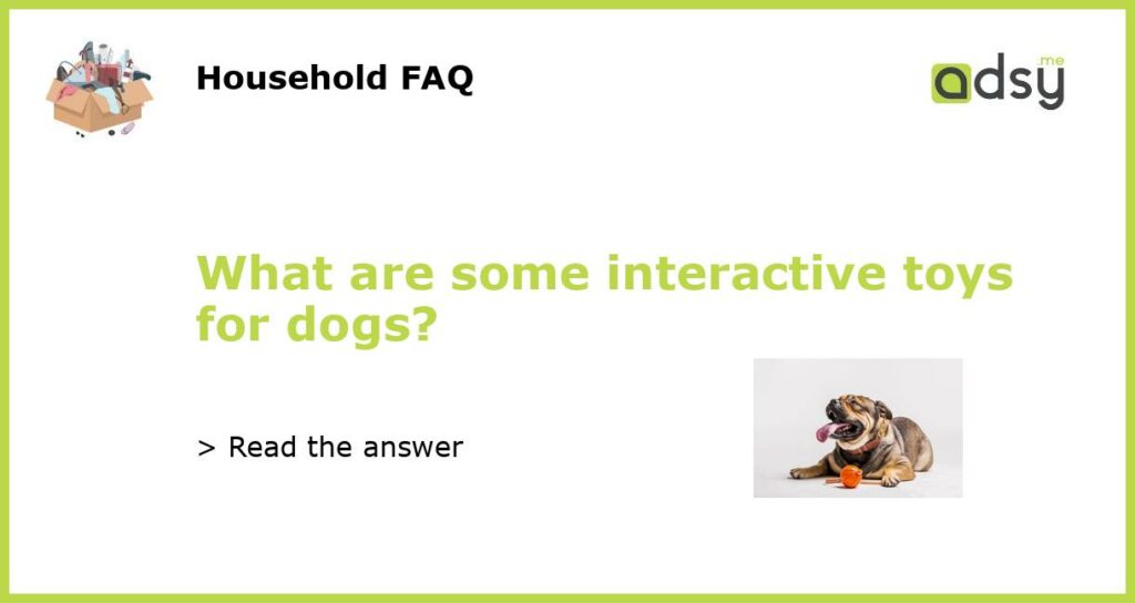 What are some interactive toys for dogs featured