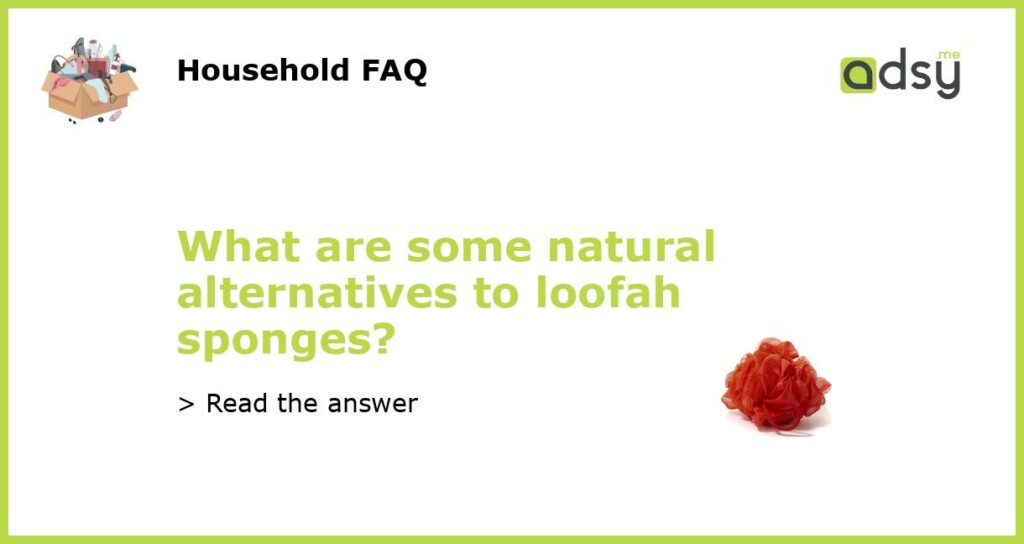 What are some natural alternatives to loofah sponges featured