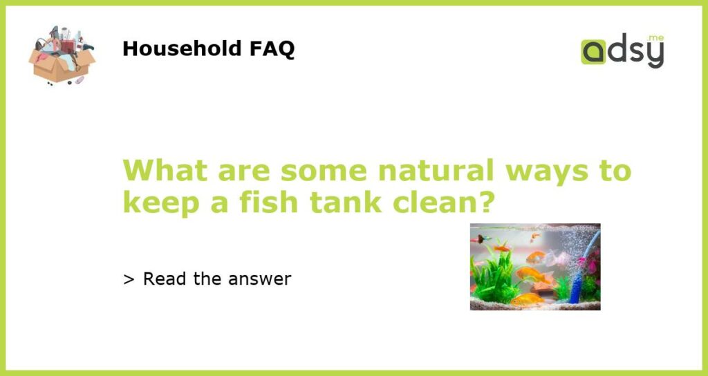 What are some natural ways to keep a fish tank clean featured