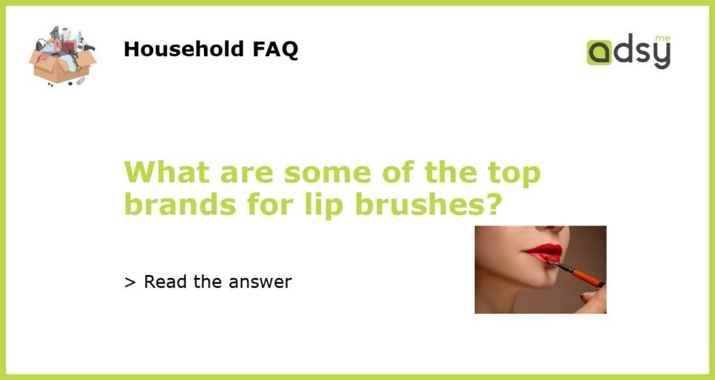What are some of the top brands for lip brushes?